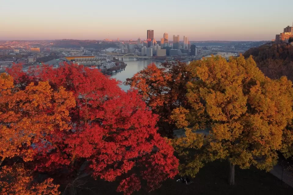 View of downtown Pittsburgh, PA with colorful fall trees in foreground.